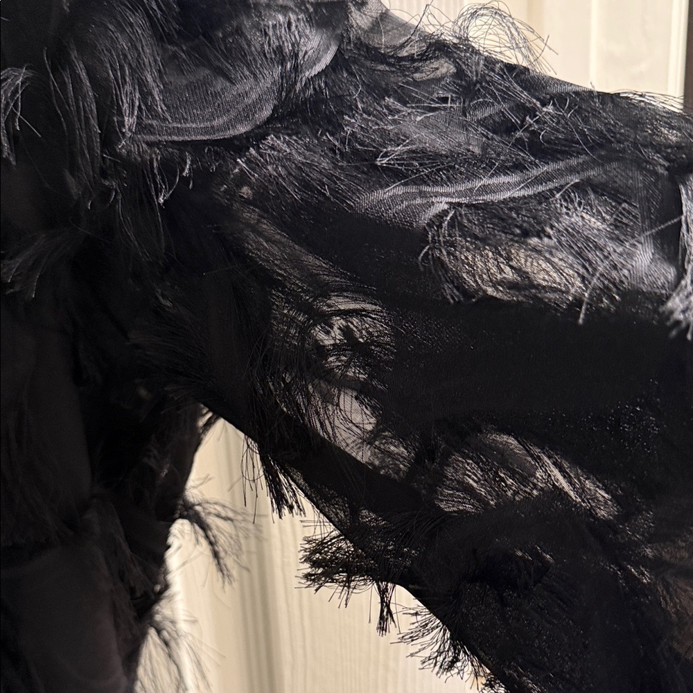Black Fringe Texture Long-Sleeve Women's Dress - Picture 3 of 4
